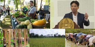 បណ្ឌិតសភាចារ្យសុខ ទូចលើកទឹកចិត្តដល់អ្នកជំនាញផ្នែកកសិកម្ម ឱ្យរួមគ្នាសិក្សាស្រាវជ្រាវរកអ្វីដែលថ្មី