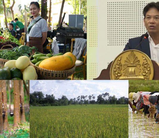 បណ្ឌិតសភាចារ្យសុខ ទូចលើកទឹកចិត្តដល់អ្នកជំនាញផ្នែកកសិកម្ម ឱ្យរួមគ្នាសិក្សាស្រាវជ្រាវរកអ្វីដែលថ្មី