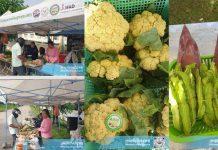 រដ្ឋបាលខេត្តក្រចេះបើកដំណើរការផ្សារផលិតផលខ្មែរគាំទ្រផលិតផលក្នុងស្រុក