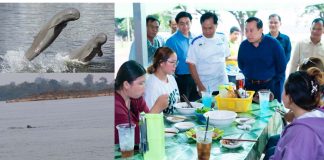 ខេត្តស្ទឹងត្រែងមានអន្លង់ផ្សោតមួយដែលទាក់ទាញទេសចរណ៍
