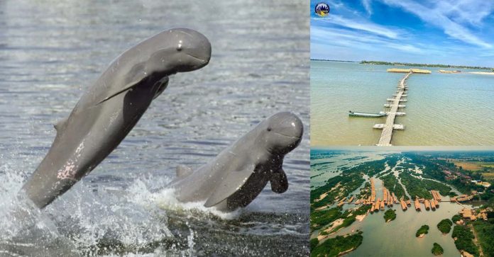 Kratie-Cambodia-Tour